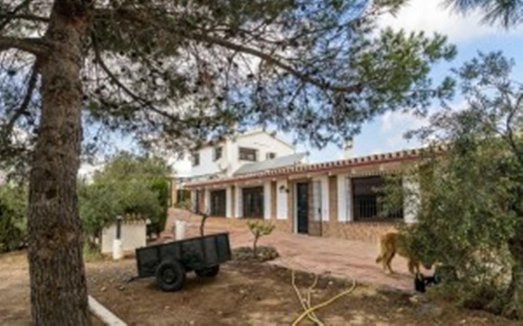 Villa Finca in Alora