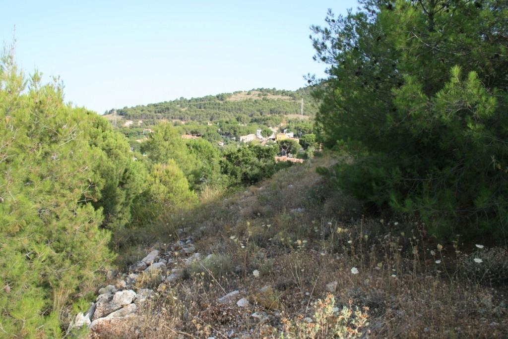 Plot Land in Alhaurín de la Torre