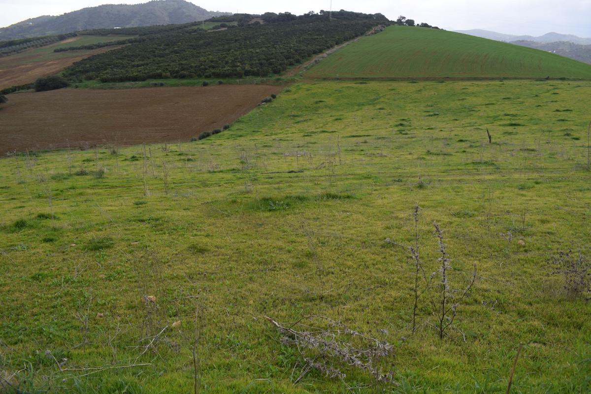 Plot Land in Guaro