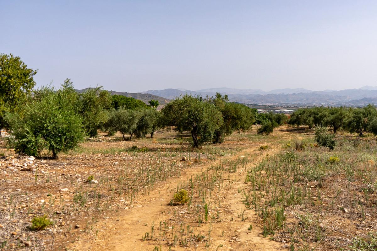 Plot Residential in Alhaurín de la Torre