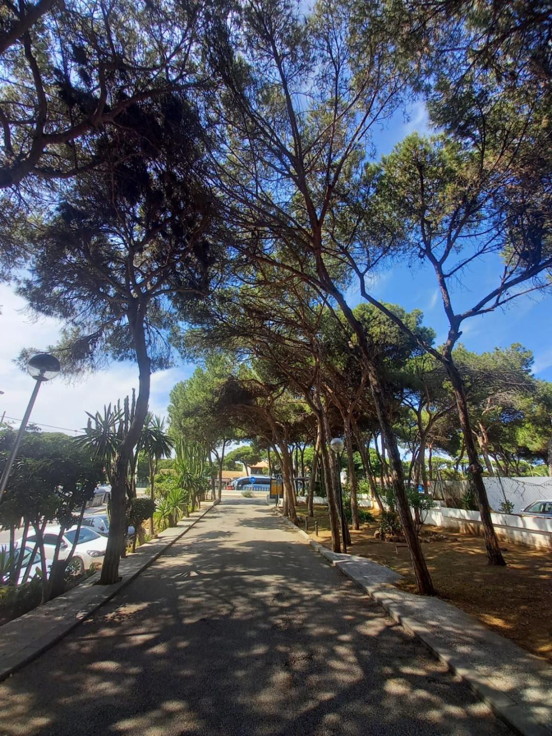 Apartment Middle Floor in Mijas Costa
