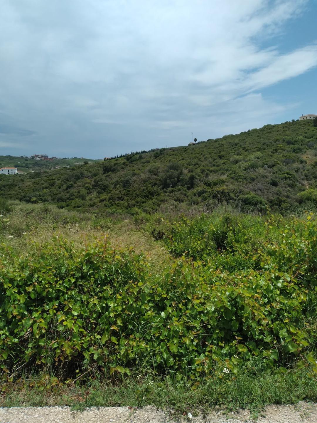 Plot Land in Manilva