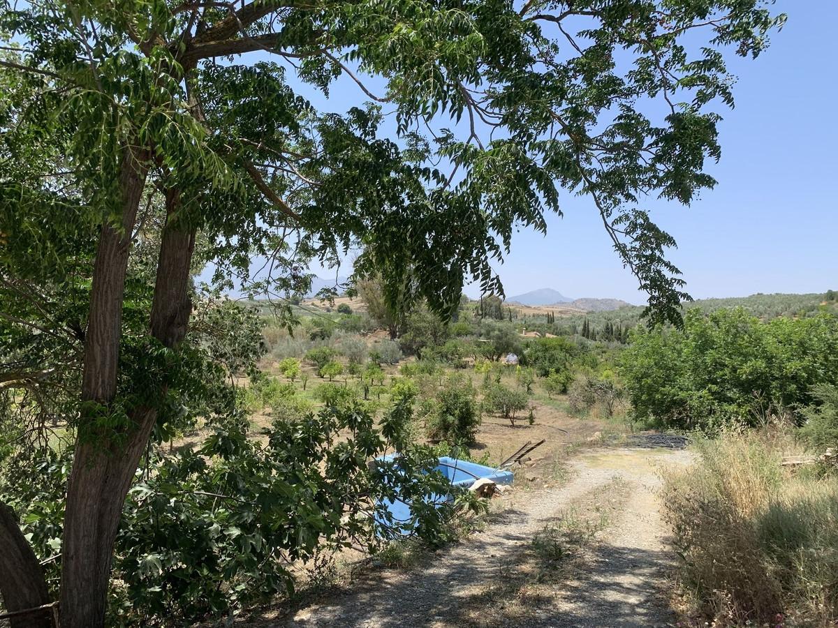 Plot Land in Coín