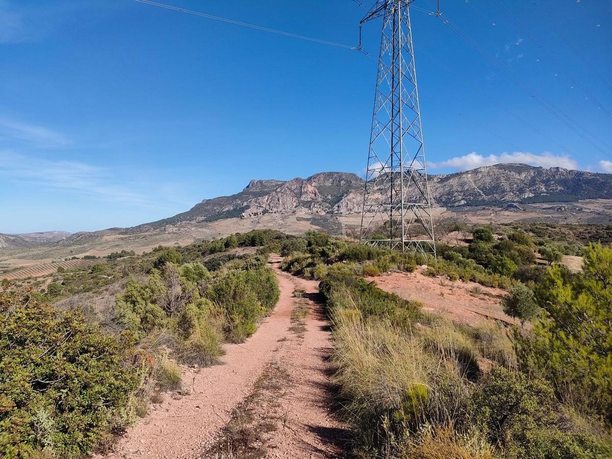 Plot Land in El Burgo