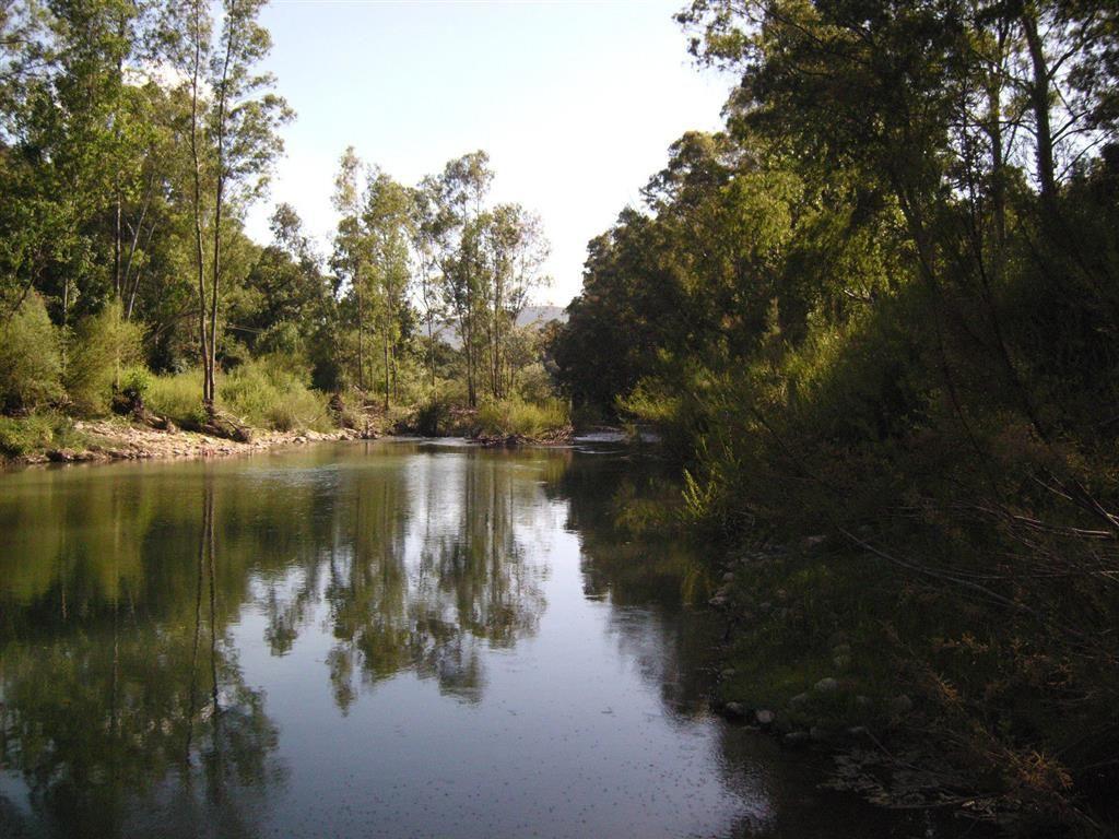 Plot Land in Cortes de la Frontera