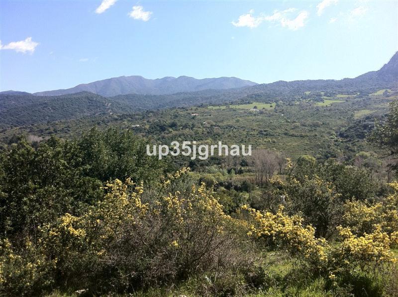 Plot Land in Gaucín