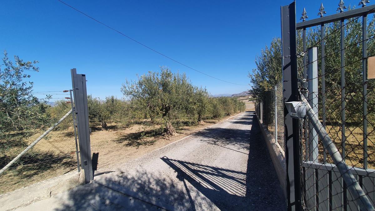 Plot Land in Alhaurín el Grande