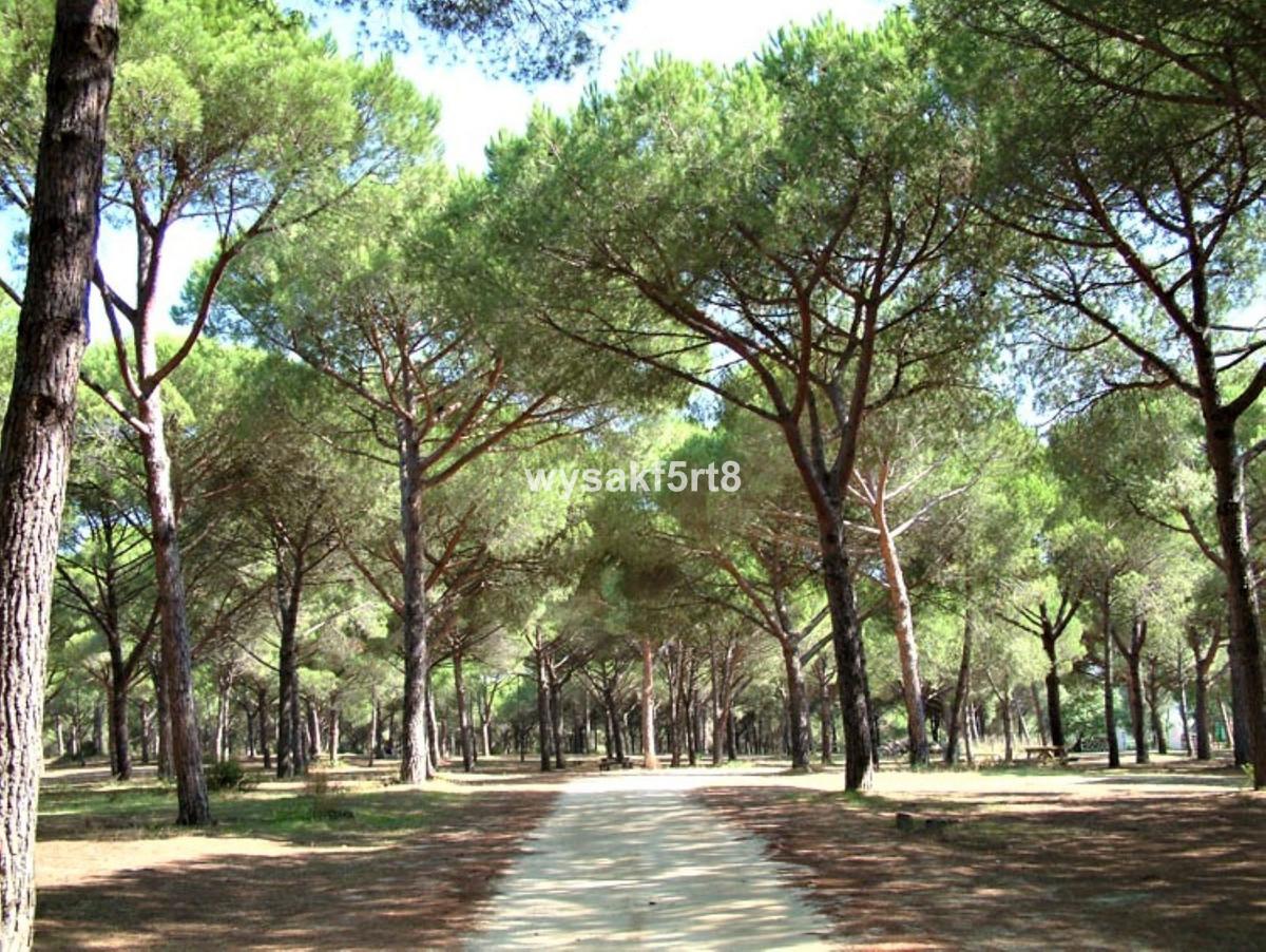 Plot Land in San Roque