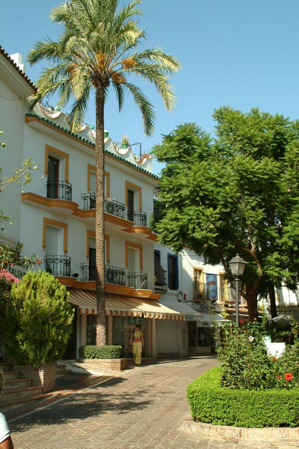 Commercial Business in Marbella