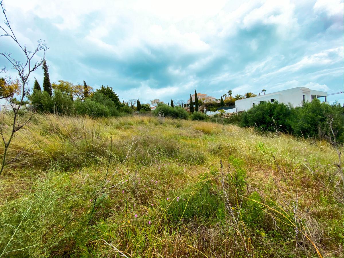 Plot Residential in Los Flamingos