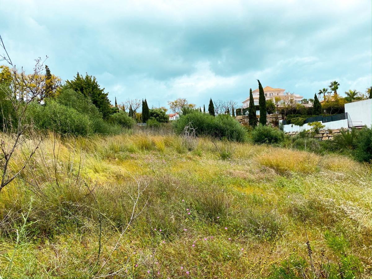 Plot Residential in Los Flamingos