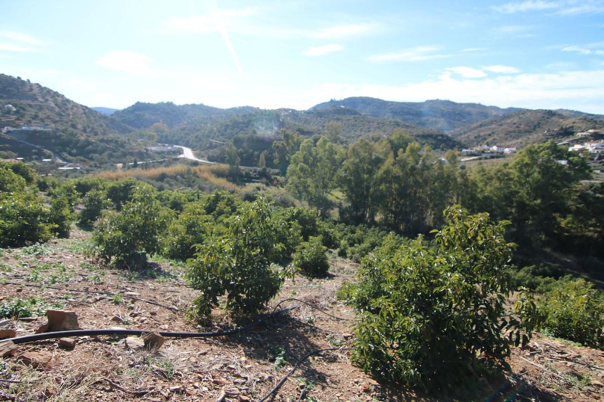 Plot Land in Coín