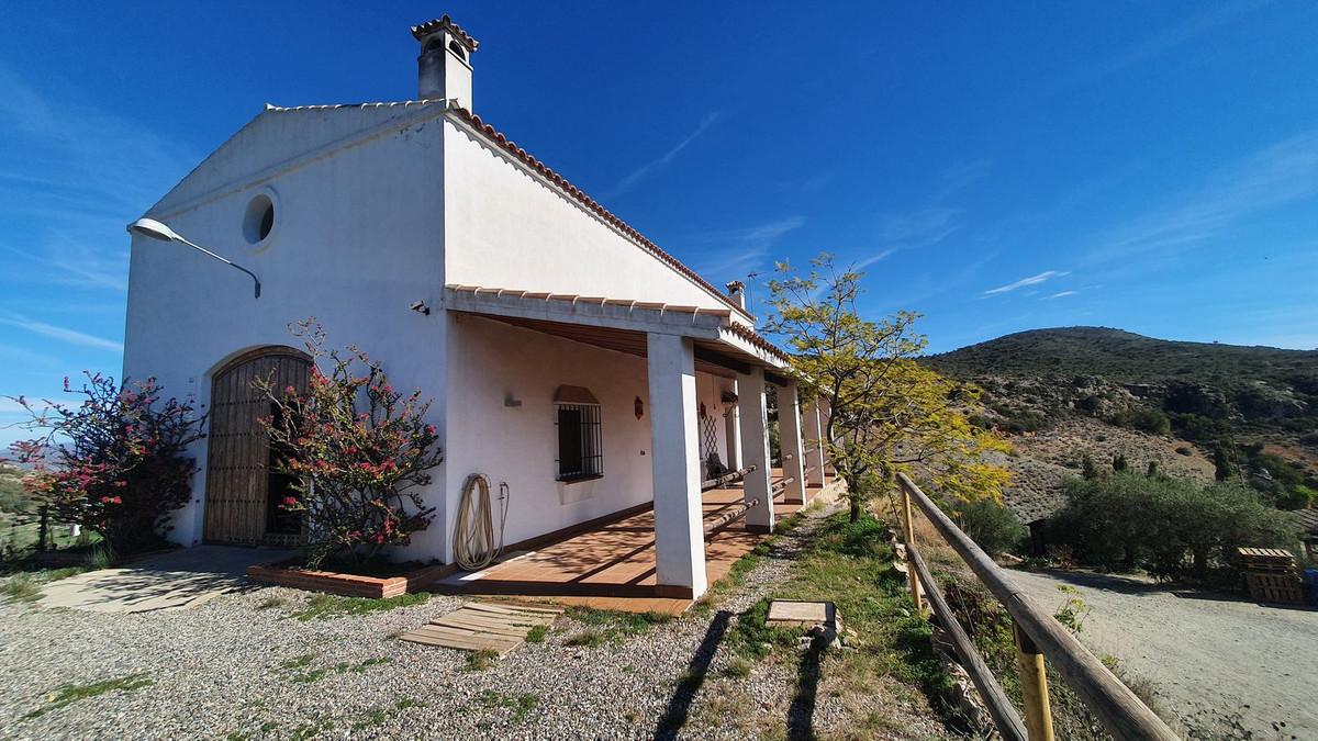 Commercial Vineyard in Málaga