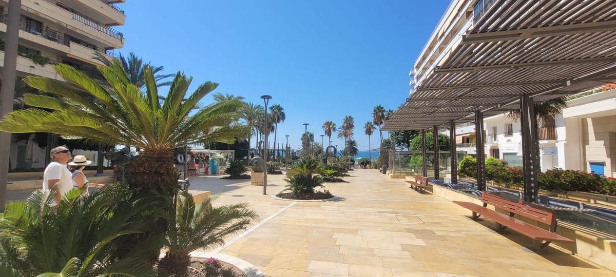 Commercial Business in Marbella
