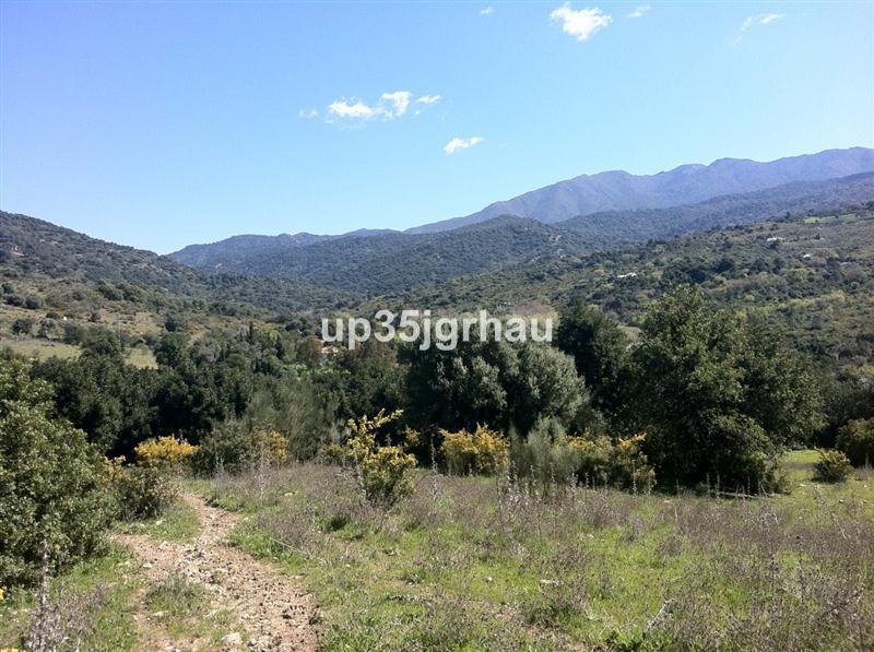 Plot Land in Casares