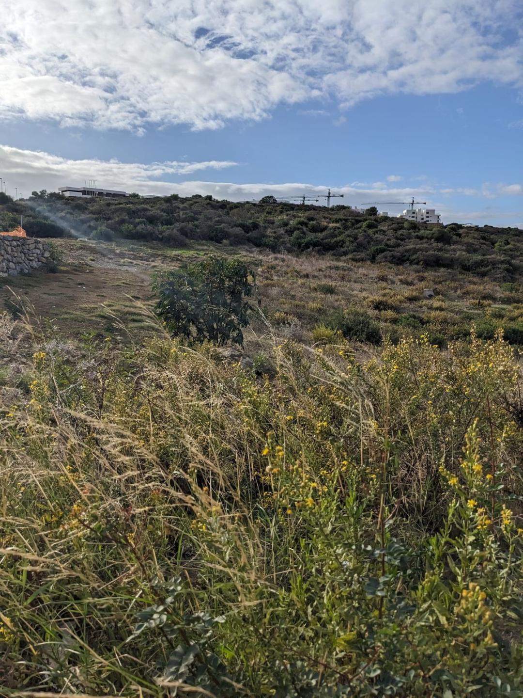 Plot Residential in Estepona