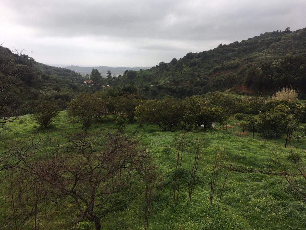 Plot Land in Estepona