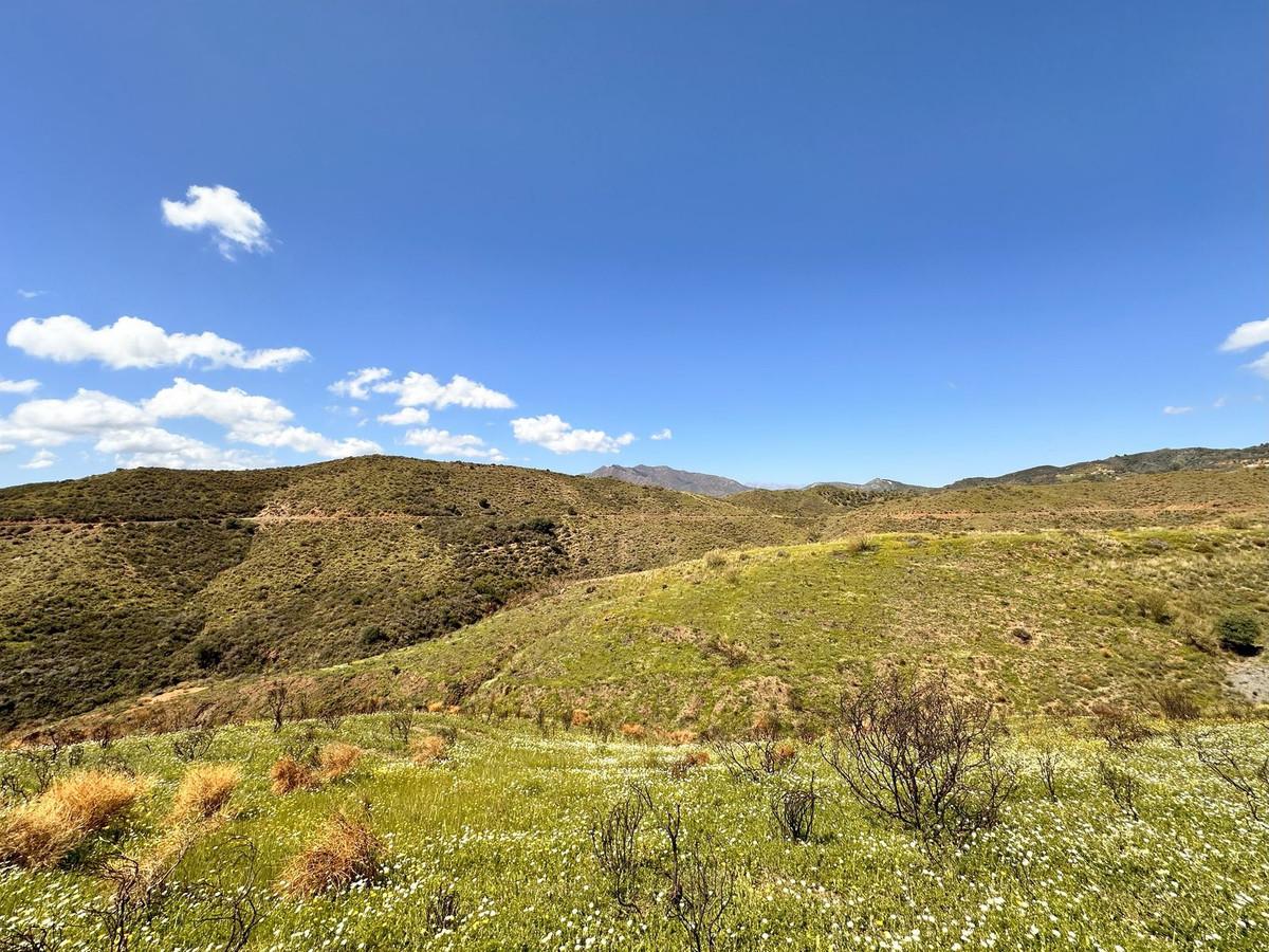 Plot Land in Valtocado