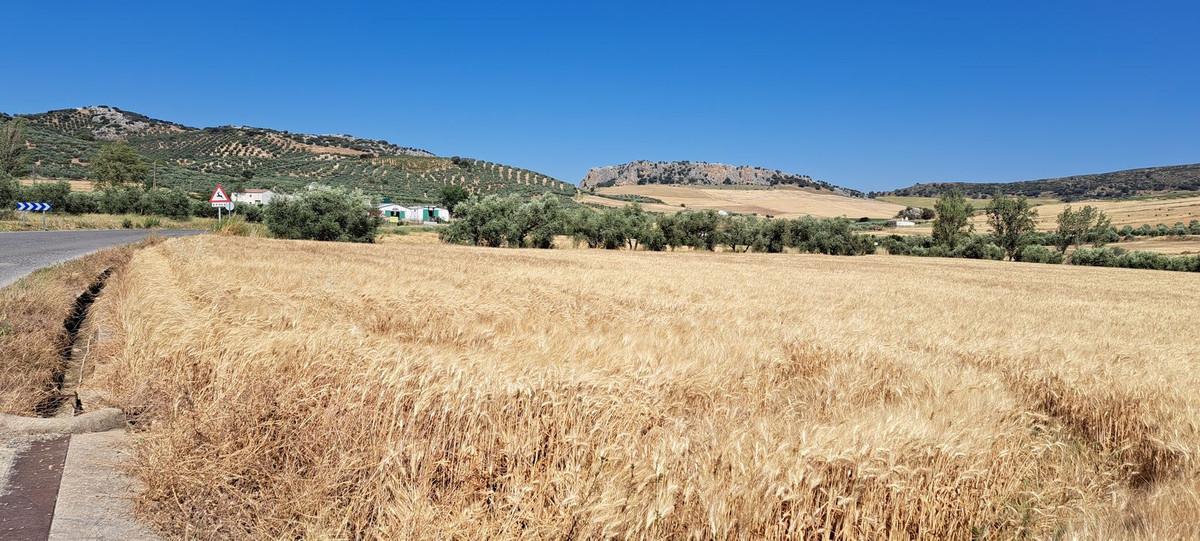 Plot Residential in Cuevas del Becerro