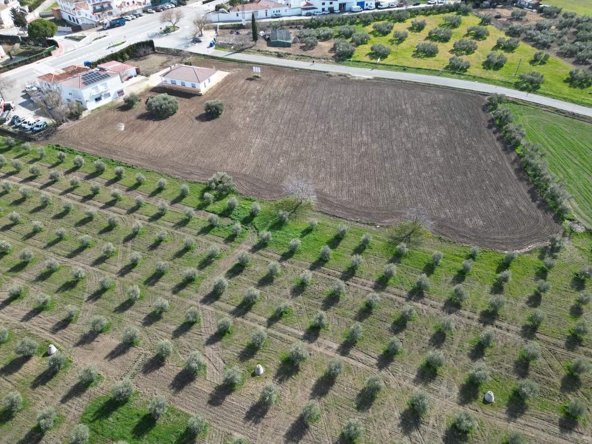 Plot Residential in Cuevas del Becerro