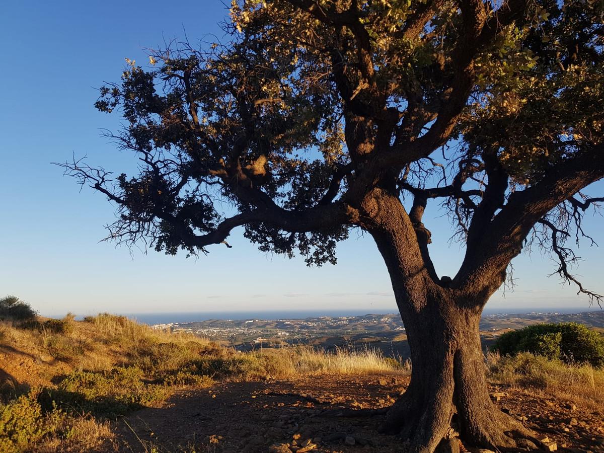 Plot Land in Valtocado