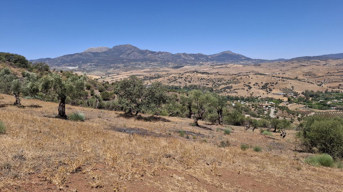 Plot Land in Co&iacute;n