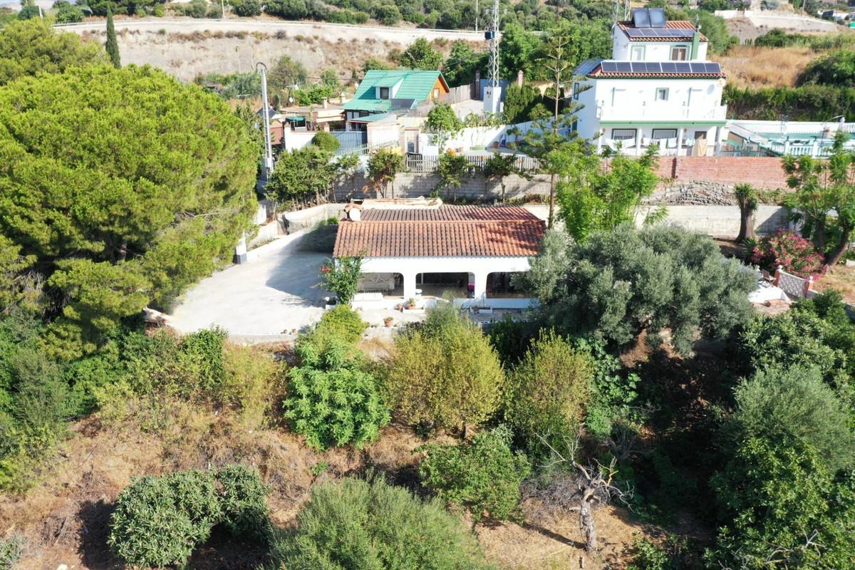 Commercial Farm in Estepona