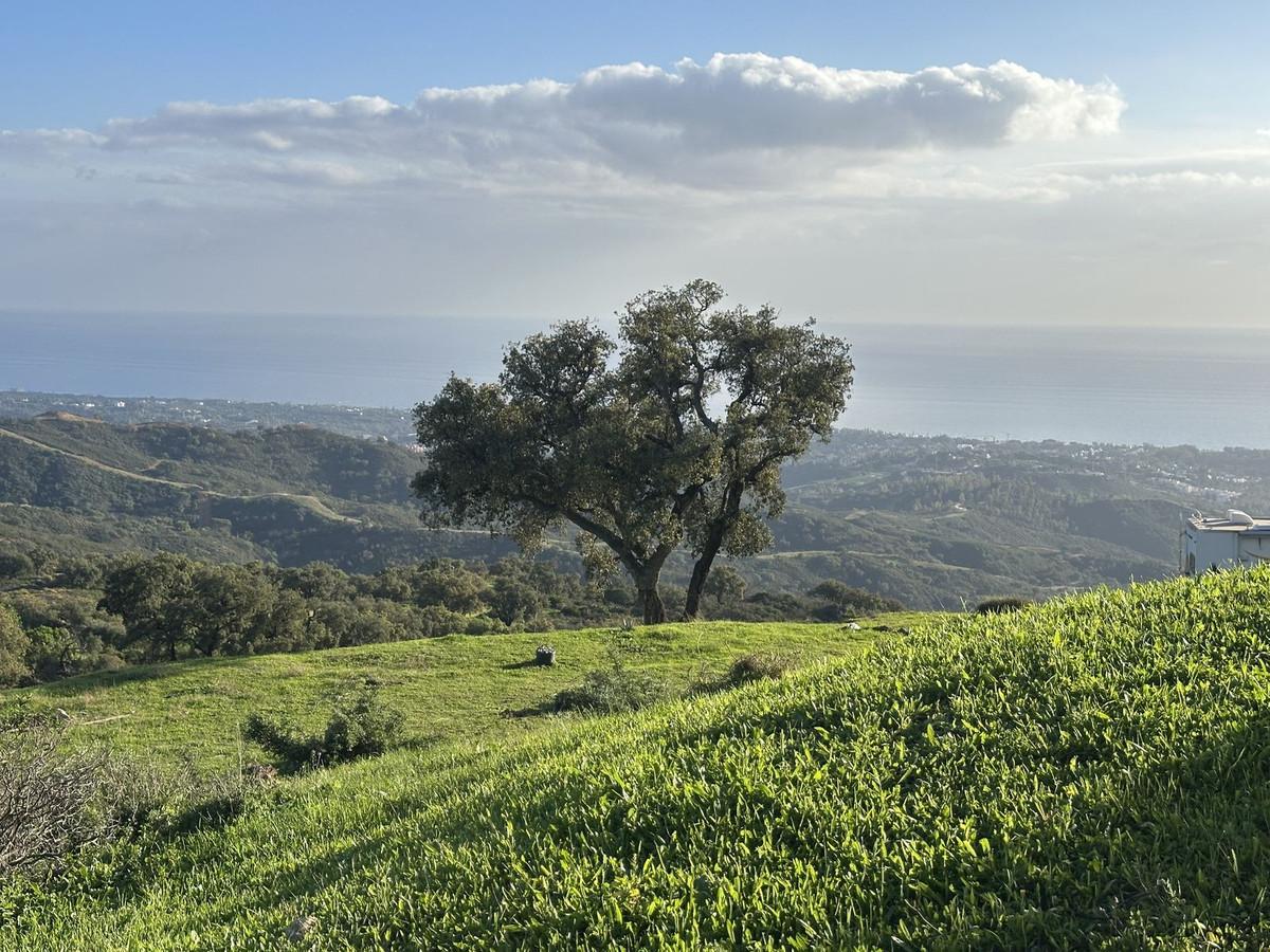 Plot Land in La Mairena
