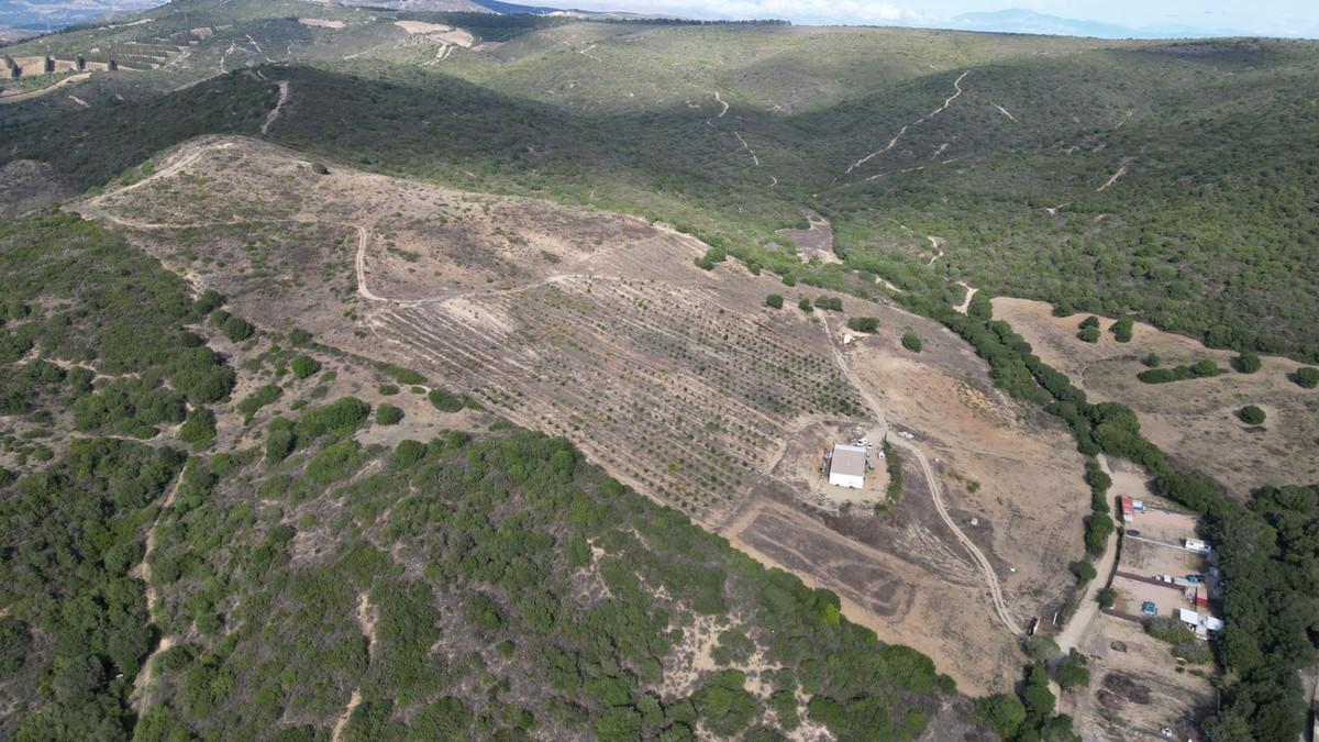 Plot Land in Manilva