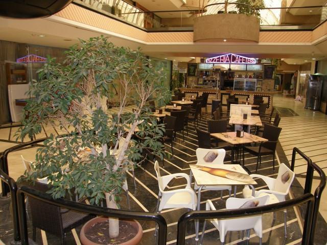 Commercial Business in Puerto Ban&uacute;s