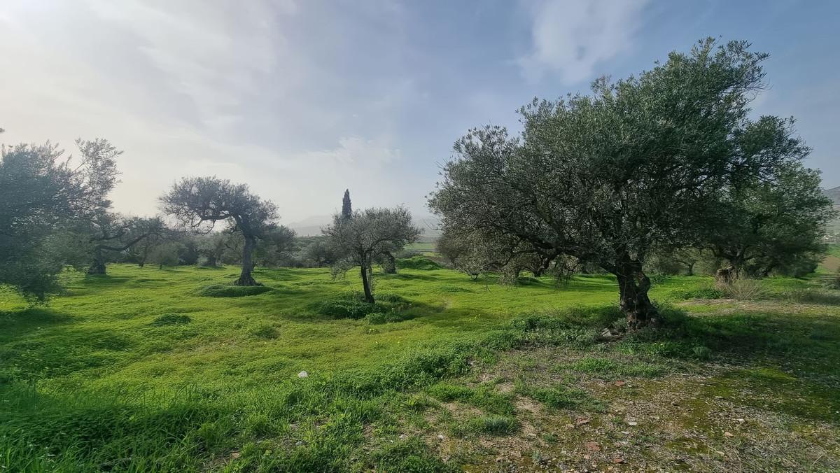 Plot Land in Alhaur&iacute;n el Grande