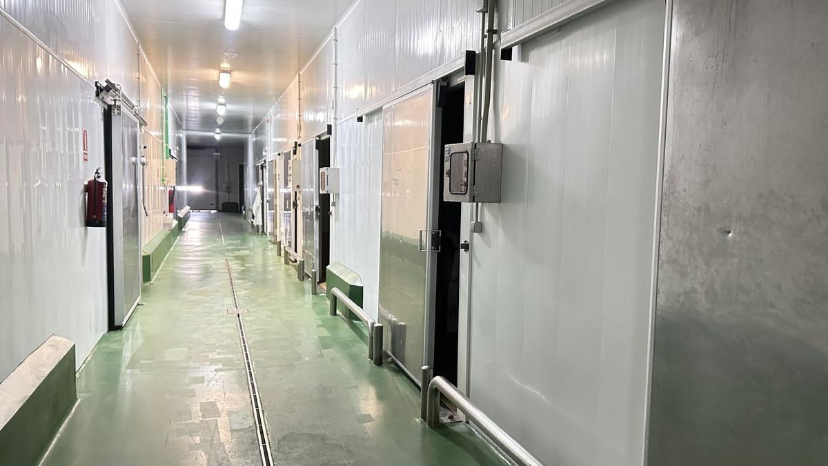 Commercial Business in Antequera