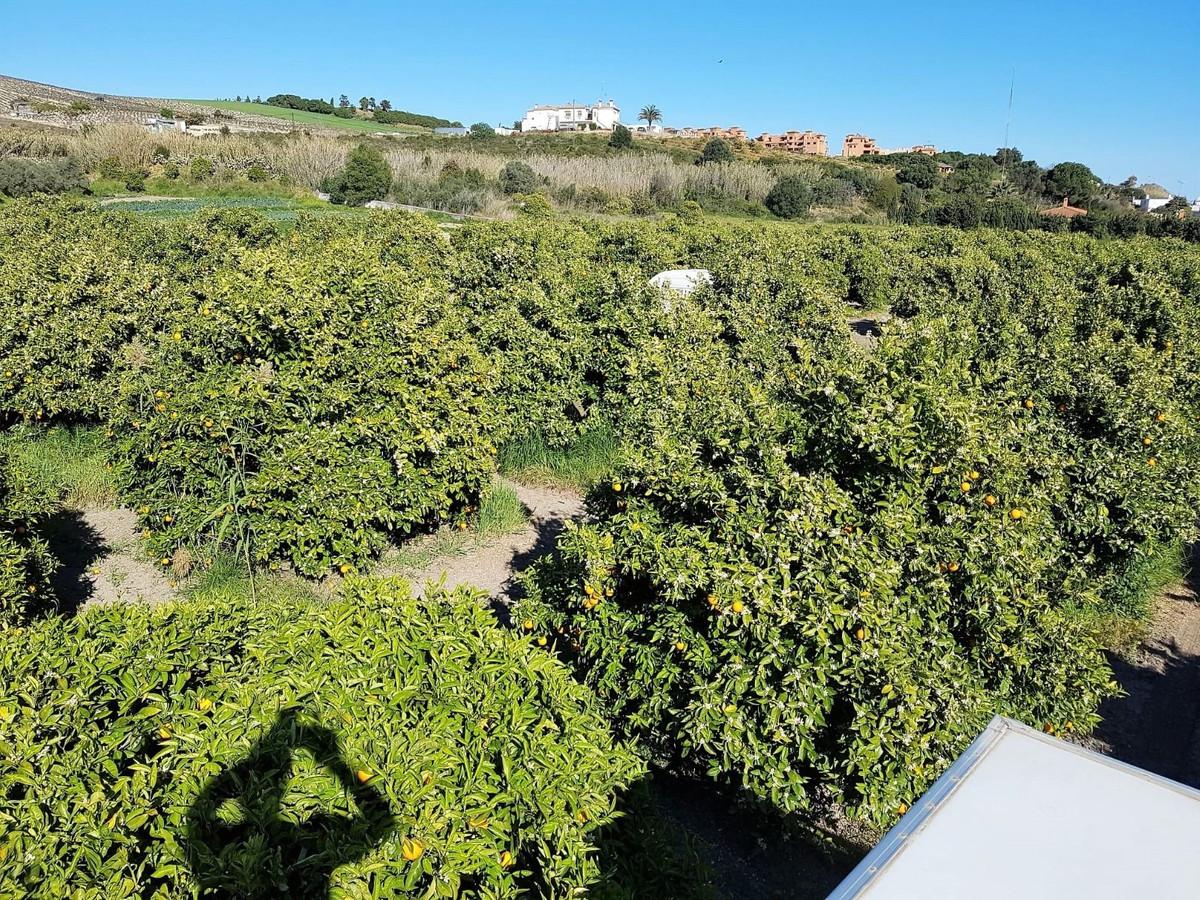 Villa Finca in San Luis de Sabinillas
