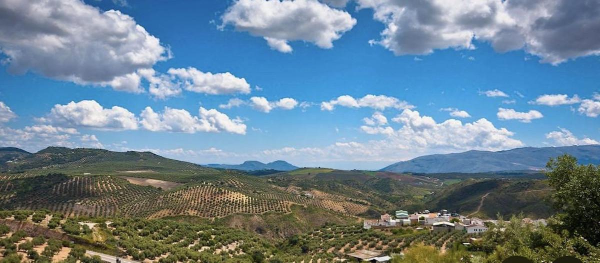 Plot Residential in Antequera