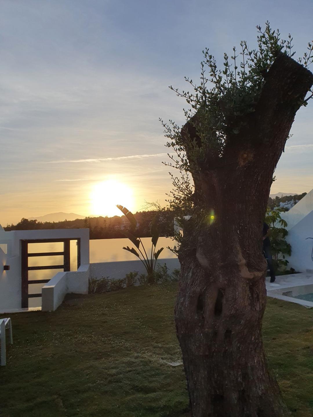 Villa Detached in Marbella