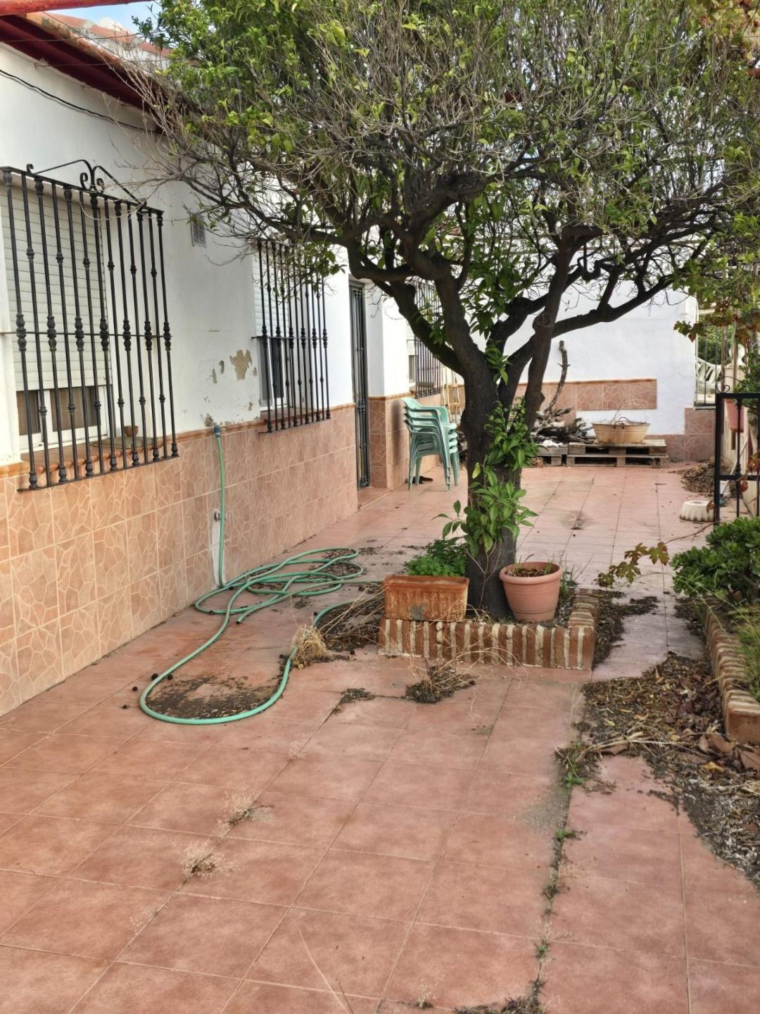 Villa Finca in Alora