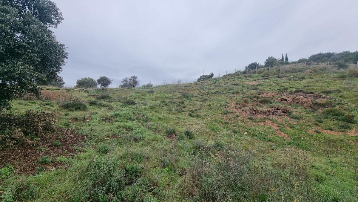 Plot Land in Coín