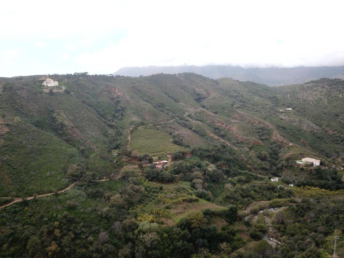 Plot Land in Estepona