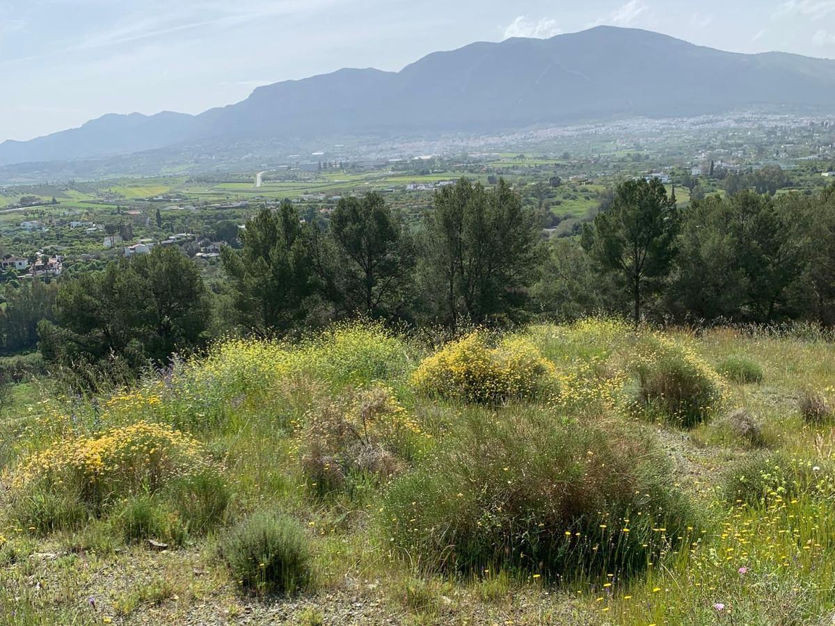 Plot Residential in Alhaurín el Grande