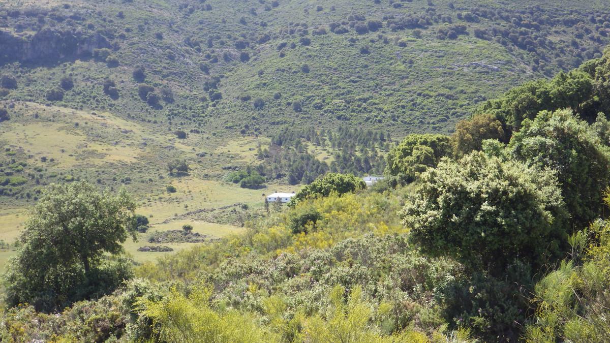 Plot Land in Ronda
