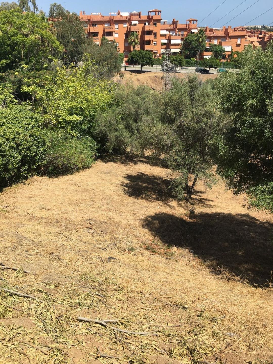 Plot Residential in Las Chapas