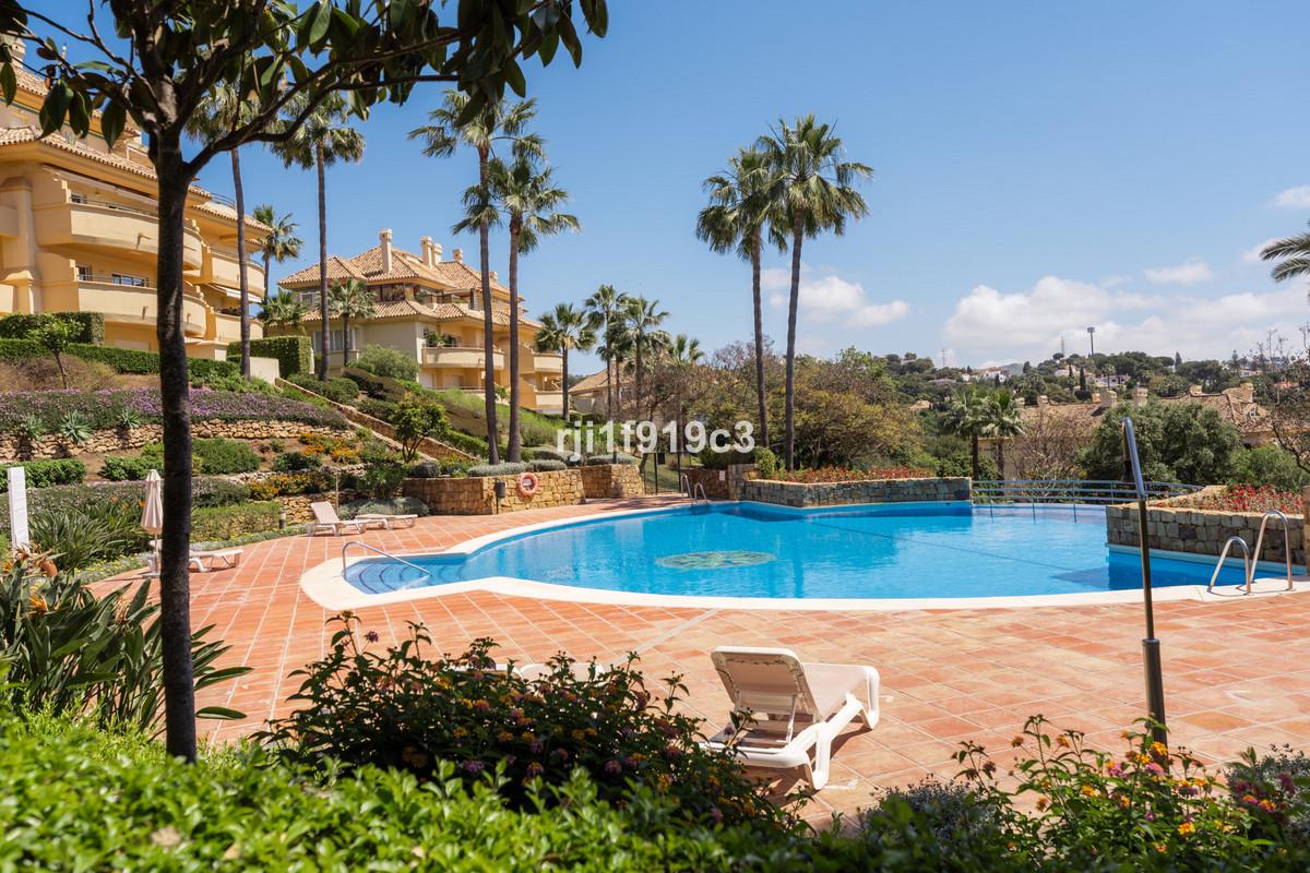 Apartment Ground Floor in Elviria