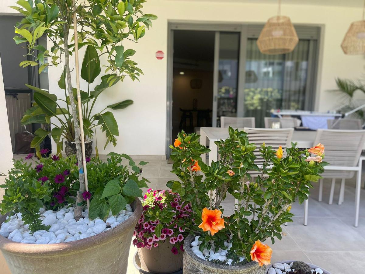 Apartment Ground Floor in Estepona