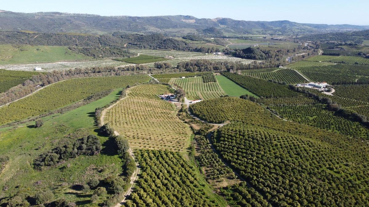 Plot Land in Casares