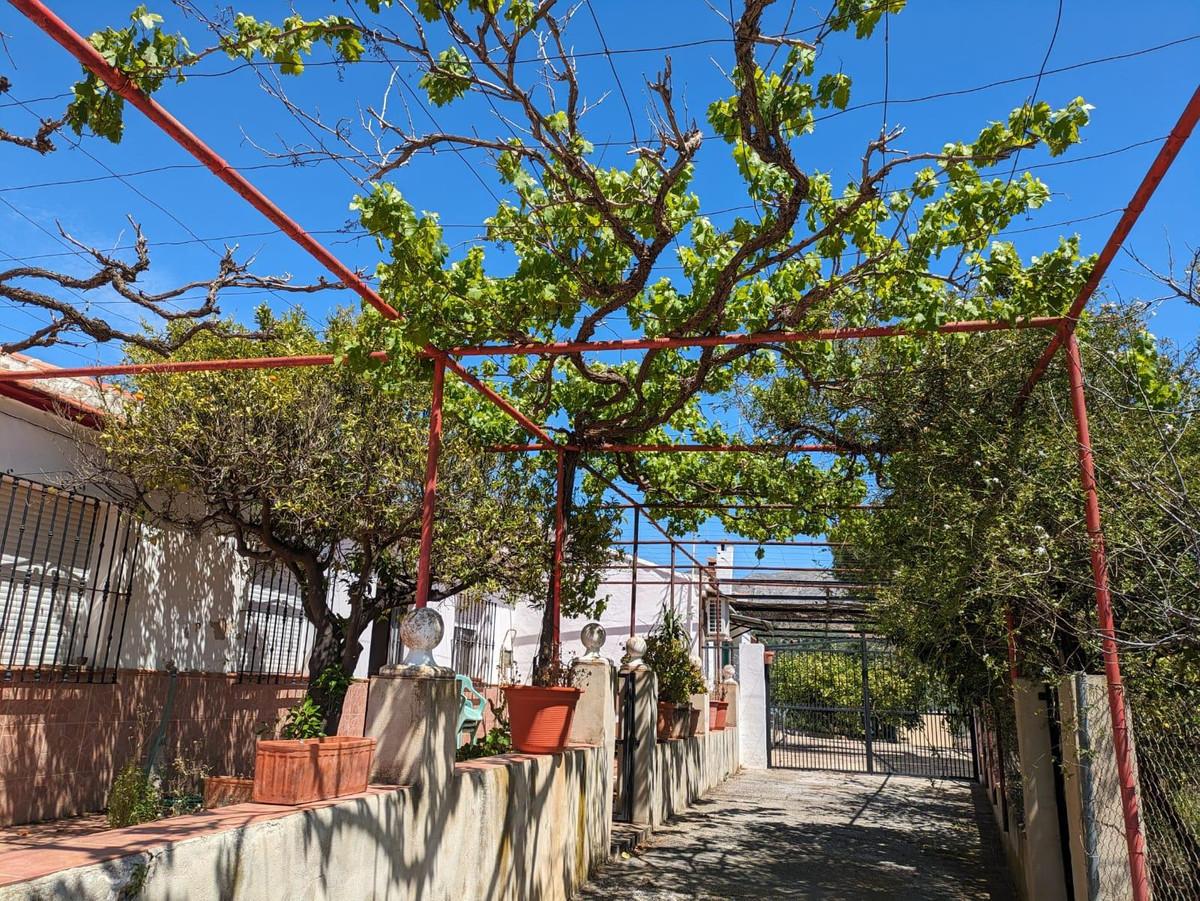 Villa Finca in Alora