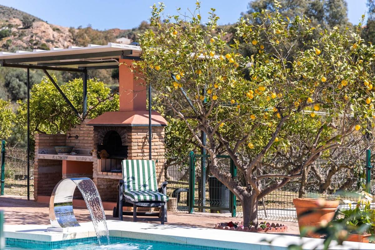 Villa Finca in Málaga