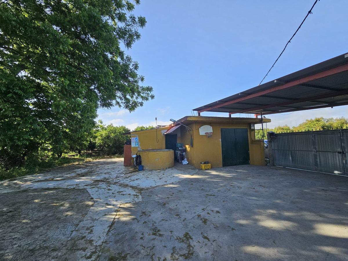 Commercial Farm in San Martín de Tesorillo