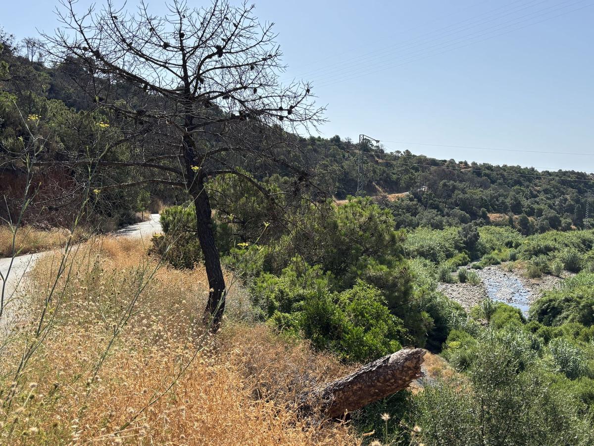 Plot Land in Estepona
