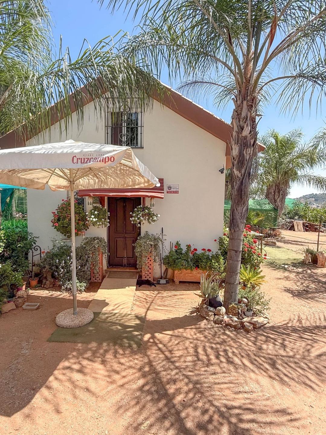 Commercial Farm in Monda