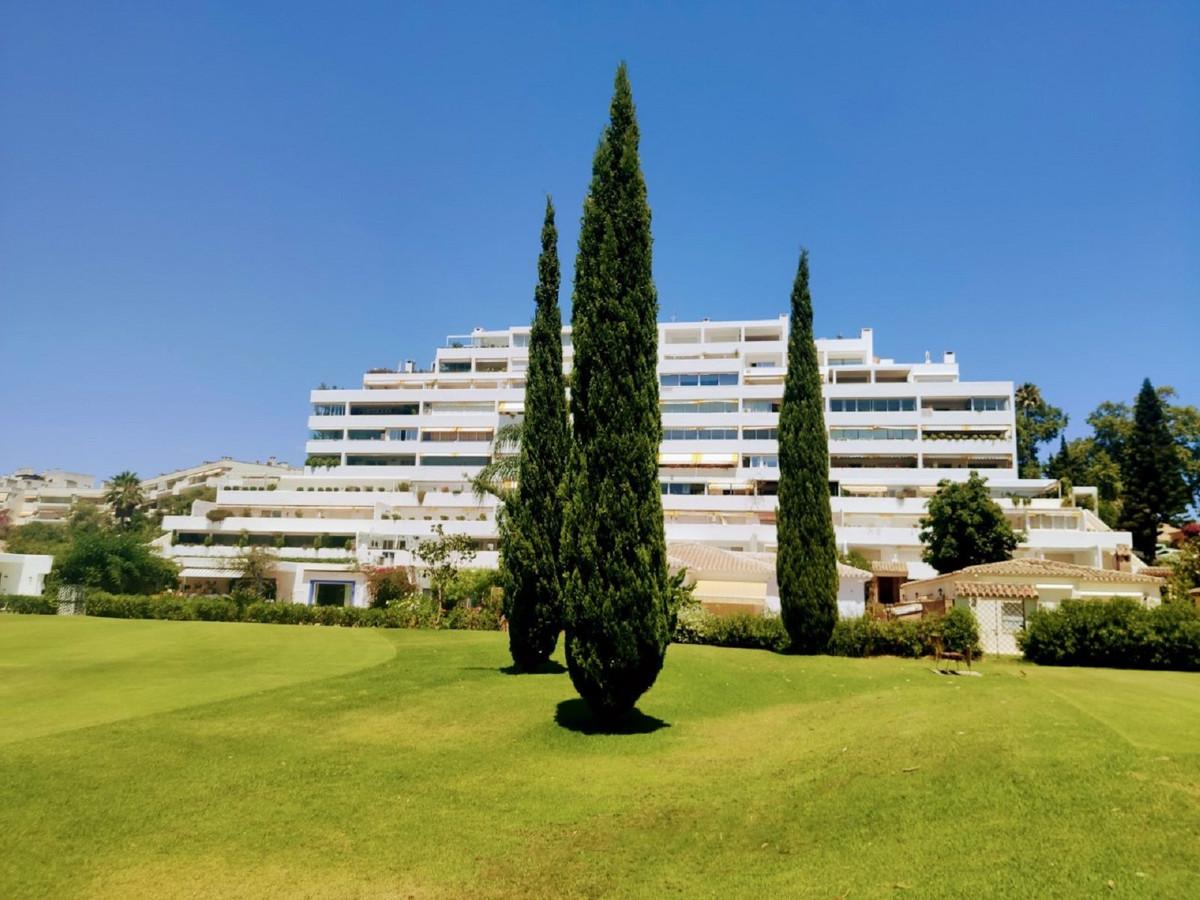 Apartment Ground Floor in Guadalmina Alta
